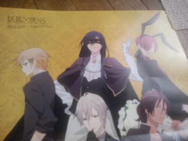 VejX̉ql zO쁕] |X^[  CD/DVD/rfI 