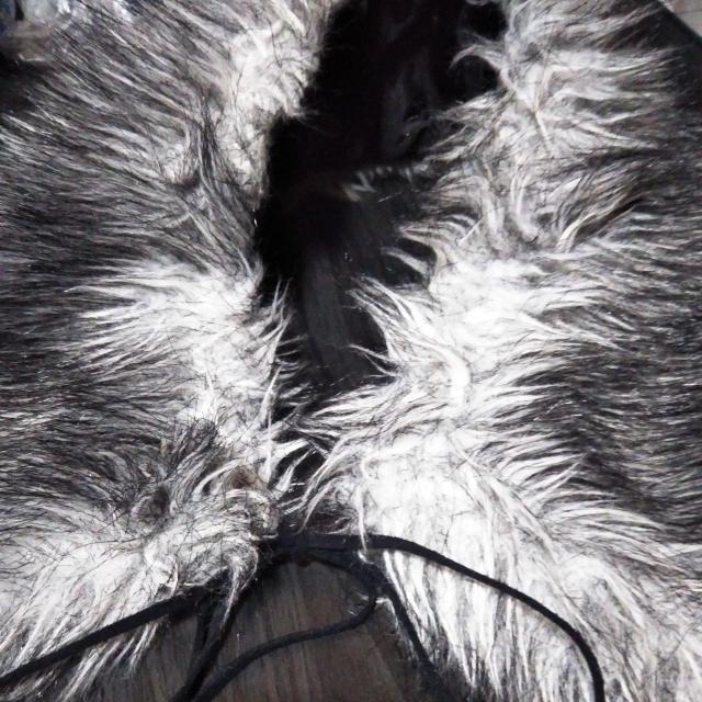 マフラー付け衿 < 女性ファッション  マフラー付け衿 < 女性ファッションの