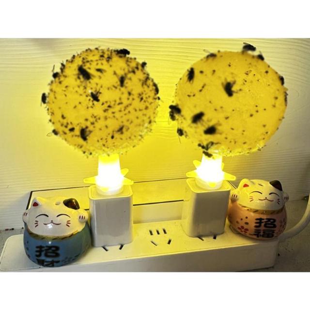 コバエ取り 5個セット LED発光 粘着ボール 無臭 静音 夏 トラップ コバエ 蚊 ハエ 誘引 捕獲 駆除 害虫対策 簡単設置 < インテリア/ライフ  コバエ取り 5個セット LED発光 粘着ボール 無臭 静音 夏 トラップ コバエ 蚊 ハエ 誘引 捕獲 駆除 害虫対策 簡単設置 < インテリア/ライフの