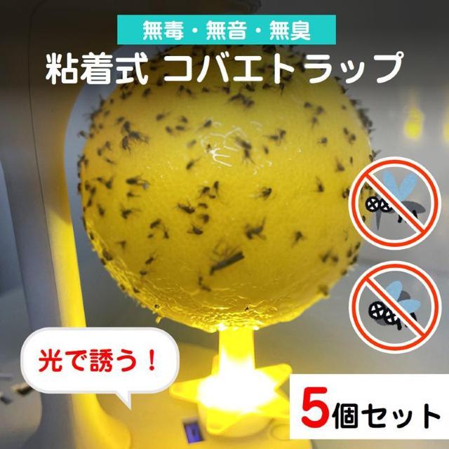 コバエ取り 5個セット LED発光 粘着ボール 無臭 静音 夏 トラップ コバエ 蚊 ハエ 誘引 捕獲 駆除 害虫対策 簡単設置 < インテリア/ライフ  コバエ取り 5個セット LED発光 粘着ボール 無臭 静音 夏 トラップ コバエ 蚊 ハエ 誘引 捕獲 駆除 害虫対策 簡単設置 < インテリア/ライフの