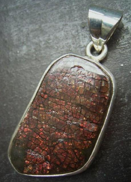 ACgVo[gbv@SDPZ`  ANZT[/v 