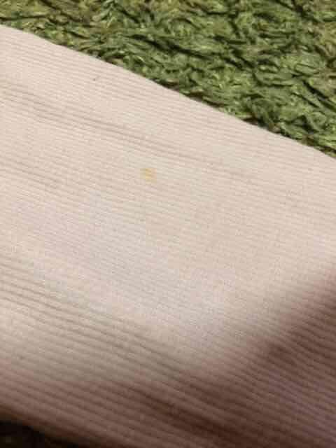 訳あり、アナイ 春物長袖トップス < ブランド  訳あり、アナイ 春物長袖トップス < ブランドの