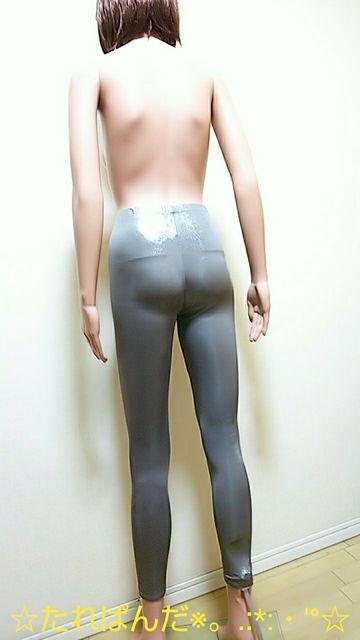 iAVo[^bNῂXpbcB973_ő