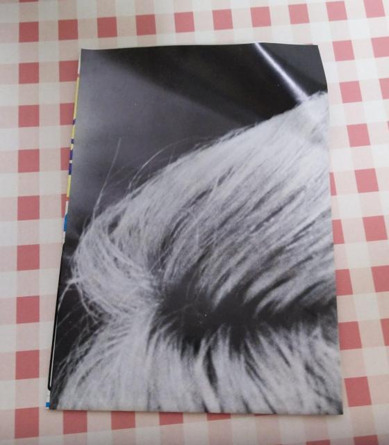 �X�N���[�����a53�N�P�����t�^�@�|�X�^�[ �� �z�r�[�� 