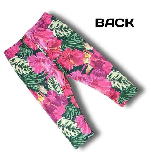 傫TCY fB[X MX Xpbc Jv \tg 3L 4L 5L ۂ Ci[ [EFA ԕ  t@bV 
