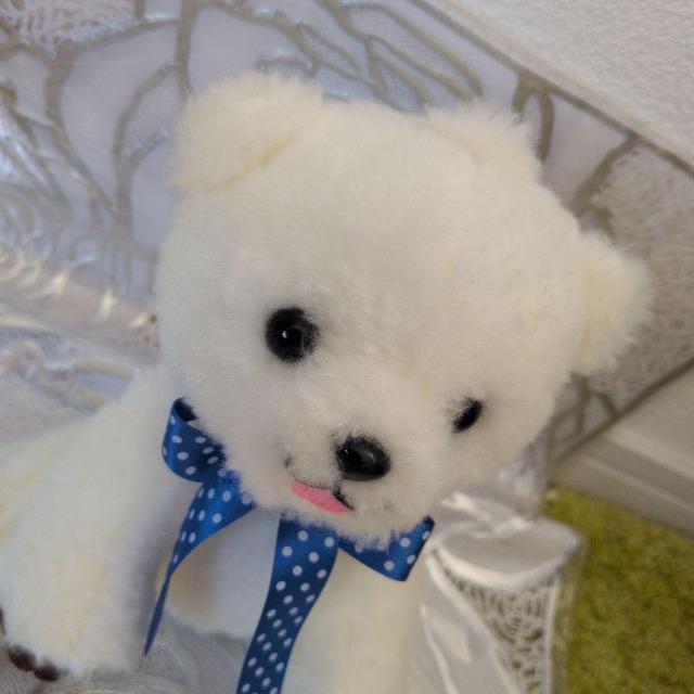 コロルくん/北海道のしろくま/シロクマ/白熊/コロルくん/ぬいぐるみ/可愛いお顔■にっこりコロルくん ぬいぐるみ■サイズSS < おもちゃ  コロルくん/北海道のしろくま/シロクマ/白熊/コロルくん/ぬいぐるみ/可愛いお顔■にっこりコロルくん ぬいぐるみ■サイズSS < おもちゃの