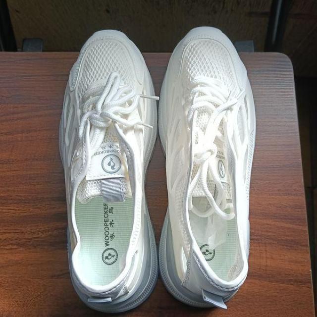 �V�i 24cm ���f�B�[�X �X�j�[�J�[ �z���C�g �V���[�Y �C �J�W���A�� �� �����t�@�b�V������ 