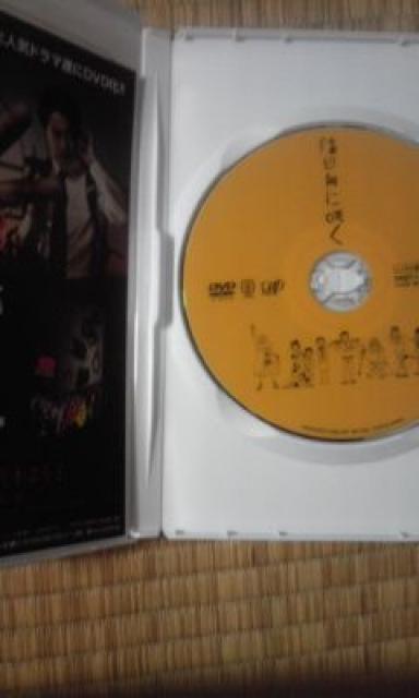 陰日向に咲く 岡田准一、宮崎あおい < CD/DVD/ビデオ  陰日向に咲く 岡田准一、宮崎あおい < CD/DVD/ビデオの