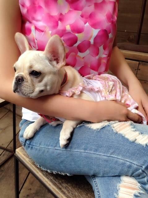 Rady☆花びらトップス☆ピンク☆新品タグ付き < ブランド Rady☆花びらトップス☆ピンク☆新品タグ付き < ブランドの