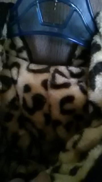 20*新品*スカルパーカー < 女性ファッション 20*新品*スカルパーカー < 女性ファッションの