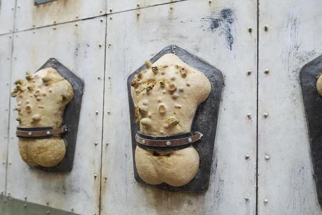 193_�N�m�R���ǖ�B �� �z�r�[�� 