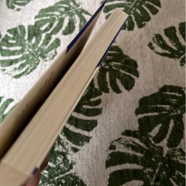 ★訳あり!ねこ先生クウとカイに教わるぐっすり睡眠法 < 本/雑誌 ★訳あり!ねこ先生クウとカイに教わるぐっすり睡眠法 < 本/雑誌の