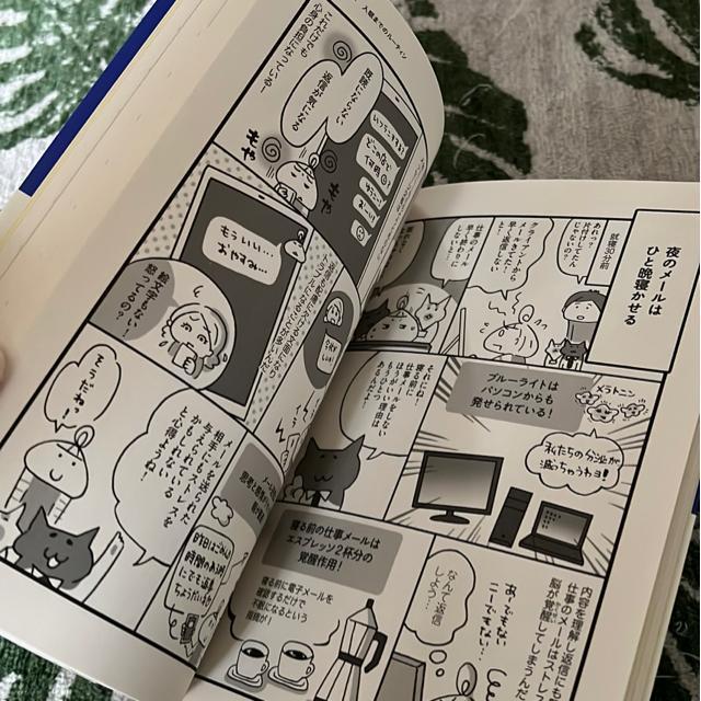 ★訳あり!ねこ先生クウとカイに教わるぐっすり睡眠法 < 本/雑誌 ★訳あり!ねこ先生クウとカイに教わるぐっすり睡眠法 < 本/雑誌の