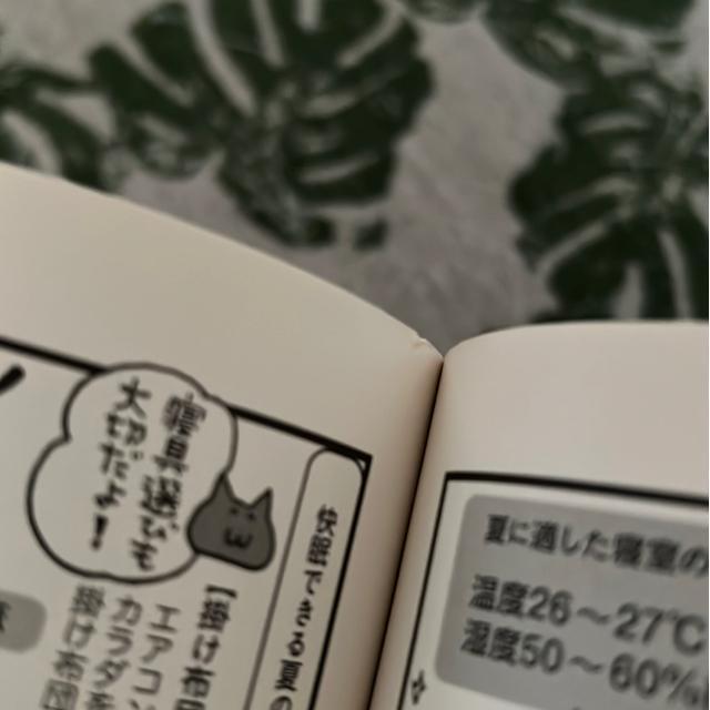 ★訳あり!ねこ先生クウとカイに教わるぐっすり睡眠法 < 本/雑誌 ★訳あり!ねこ先生クウとカイに教わるぐっすり睡眠法 < 本/雑誌の