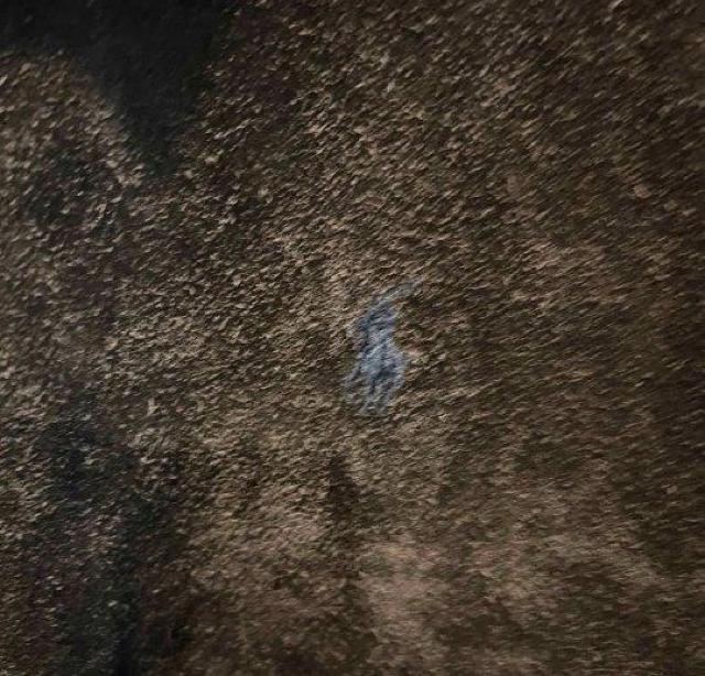 RALPH LAUREN/�����t���[����/90s/�X�E�F�[�h/�X�C���O�g�b�v/�g���b�J�[�W���P�b�g/�{�v���U�[/�Ò�/L/�A���J�W �� �u�����h�� 