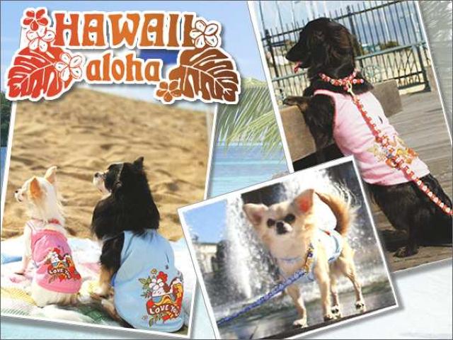 Simplers AnL~\[ S u[Vi `3kg  ybg/|/| 