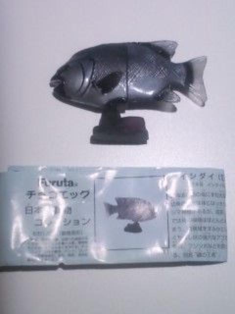 ◆イシダイ♂(チョコエッグ)◆日本の動物コレクション/フルタ/海洋堂 < ホビー  ◆イシダイ♂(チョコエッグ)◆日本の動物コレクション/フルタ/海洋堂  < ホビーの