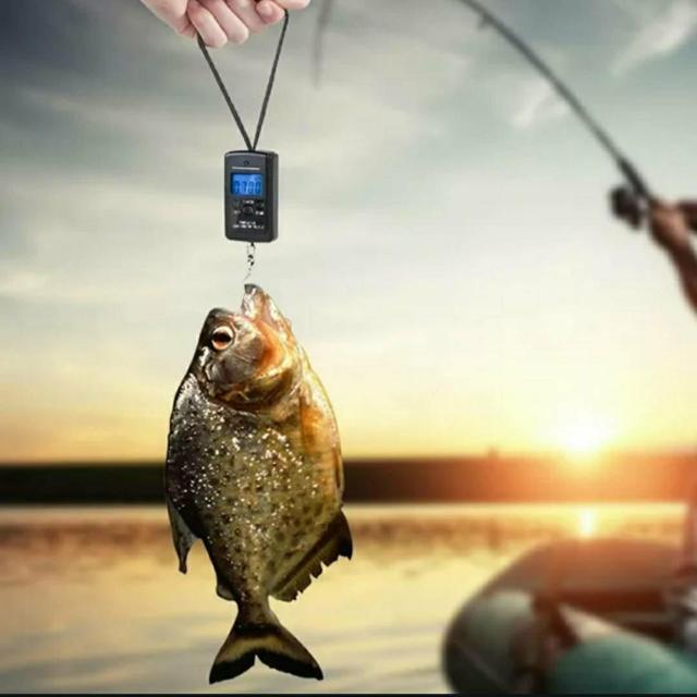 新品、未使用 計り はかり デジタル 釣り 料理 青  < 自動車/バイク 新品、未使用 計り はかり デジタル 釣り 料理 青  < 自動車/バイク