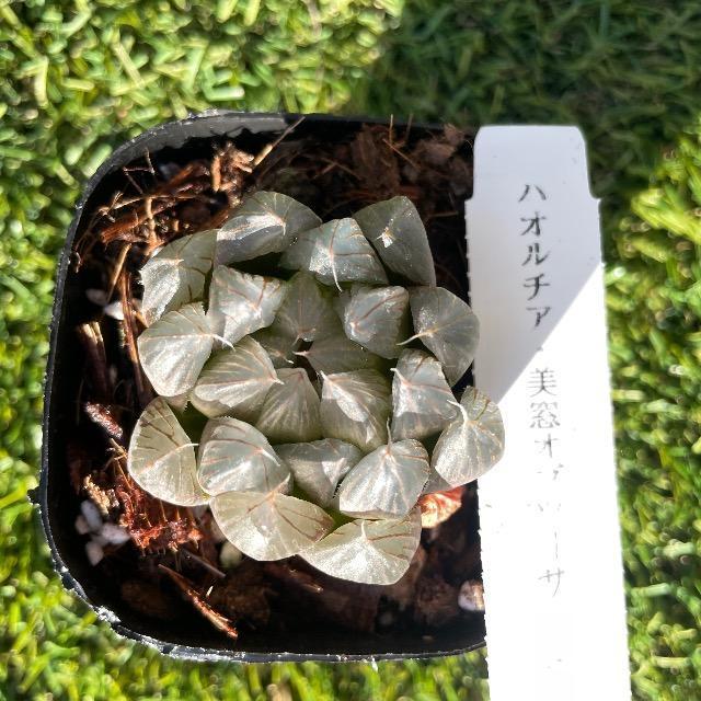 nI`A Iuc[T nIVA  c Dt Iuc[T B   ybg/|/| 