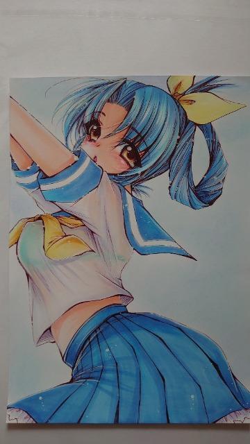 ����C���X�g:�Z�[���[���p�̏��̎q