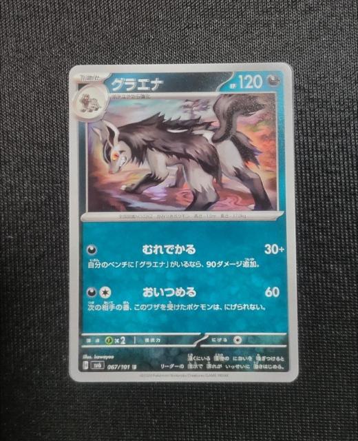 �|�P�J�@�ό��̉��ʁ@�O���G�i  �� �g���[�f�B���O�J�[�h�� 