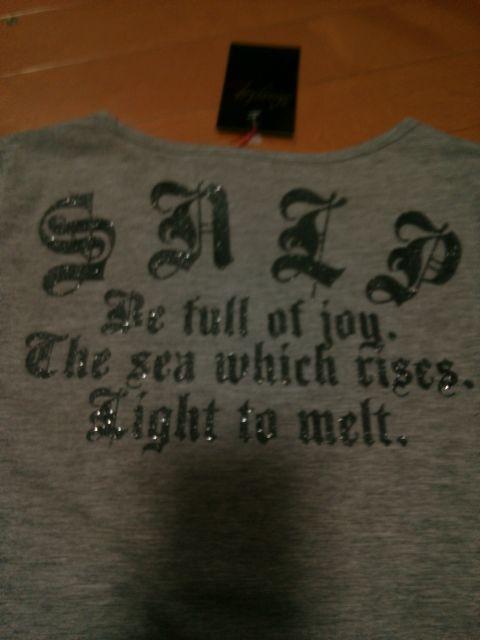 ★スキニーリップ★ロゴVネックTシャツ★GR★ < ブランド  ★スキニーリップ★ロゴVネックTシャツ★GR★ < ブランドの