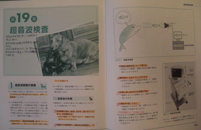 古書!!コンパニオンアニマル 看護技術学書中古品!! < 本/雑誌  古書!!コンパニオンアニマル 看護技術学書中古品!! < 本/雑誌の