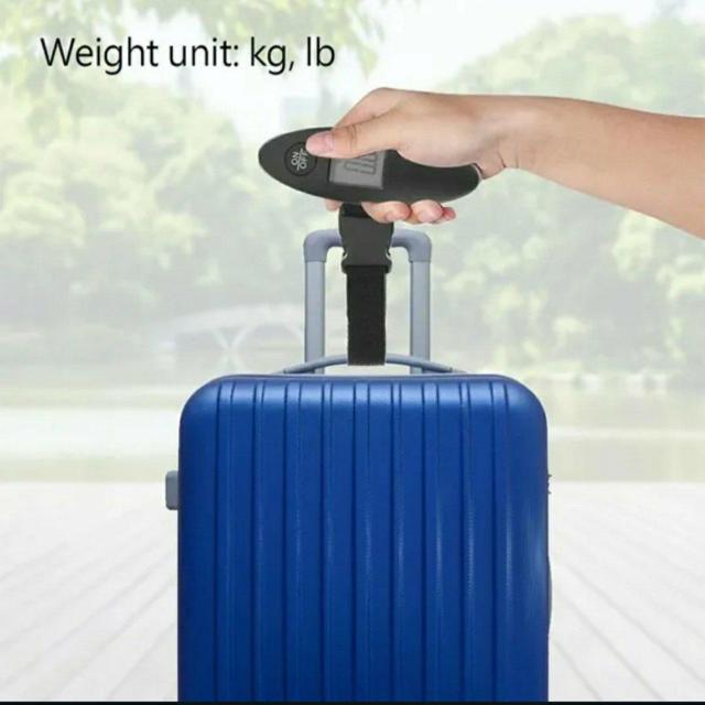 Vi@gp@͂@ʂ@gx@@vʁ@G݁@fW^@Vv@  W[/X|[c 