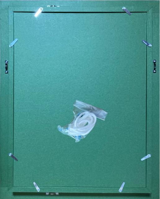 �G�� ���ʉ� �K�b�V�����ʁE�������� �w���q���B(���q�Ɨ�T)�x�V�i �^��ۏ� ���� �� �z�r�[�� 