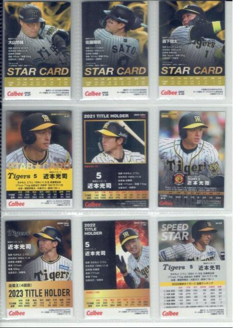 �y36���Z�b�g�z��_�^�C�K�[�X �v���싅�`�b�v�X �J�[�h �� �g���[�f�B���O�J�[�h�� 