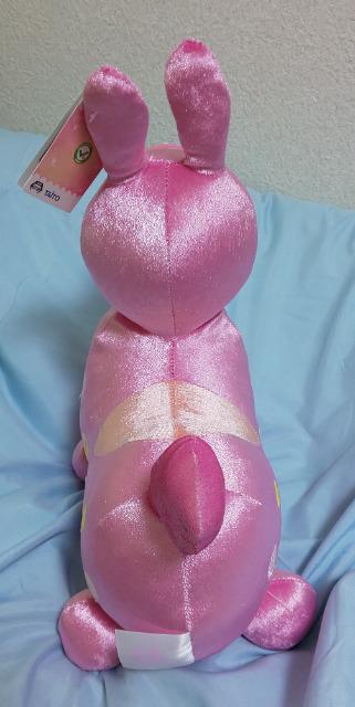 �yRody�z���ʂ�����݁��s���N�� �� ��������� 