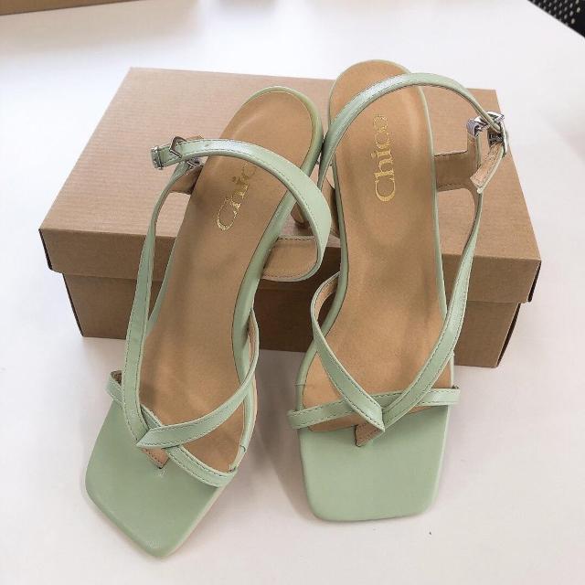 Who's Who Chico/t[Yt[`RVi!!gOi[q[T_~gS  uh 