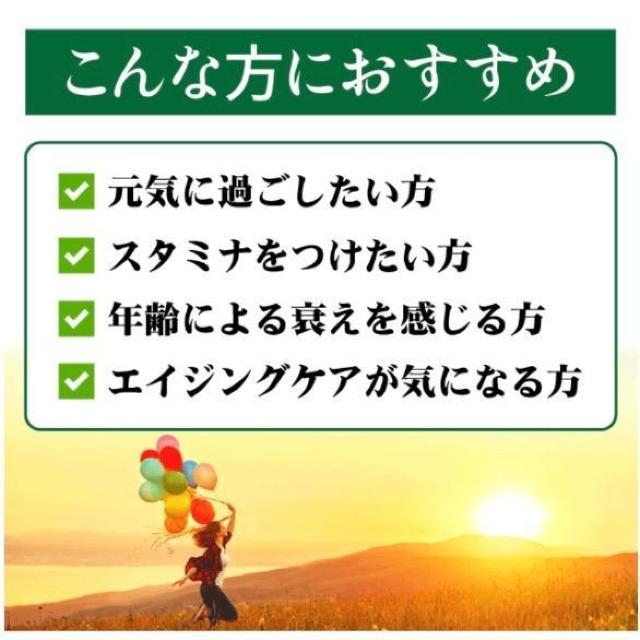 にんにく卵黄 サプリメント 約3か月分×2袋 6ヵ月分 < グルメ/ドリンク  にんにく卵黄 サプリメント 約3か月分×2袋 6ヵ月分 < グルメ/ドリンクの