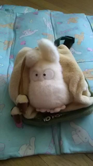 新品*訳あり*中トトロの鞄 < アニメ/コミック/キャラクター  新品*訳あり*中トトロの鞄  < アニメ/コミック/キャラクターの