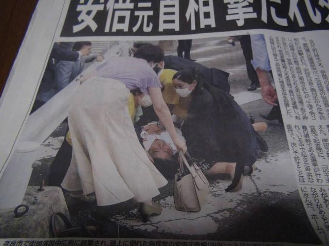 {WO񑊂̏e̋L _ːV!B  zr[ 