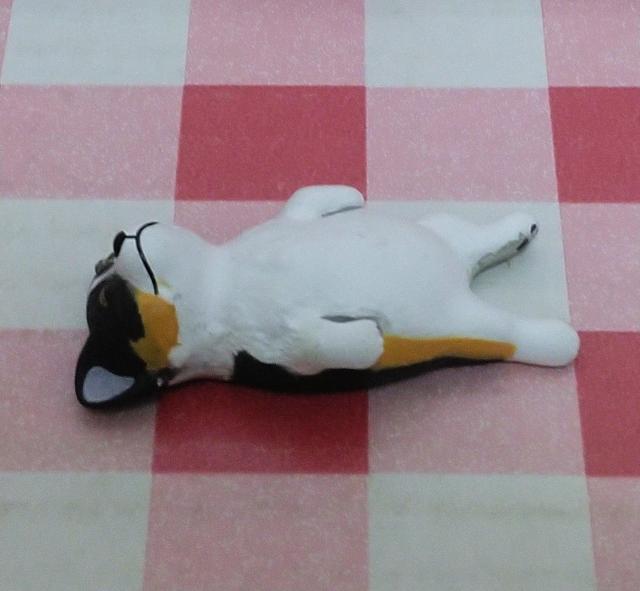 犬 パンダの穴ZooZooZoo1.5もう知らねSPVer < ホビー  犬 パンダの穴ZooZooZoo1.5もう知らねSPVer < ホビーの