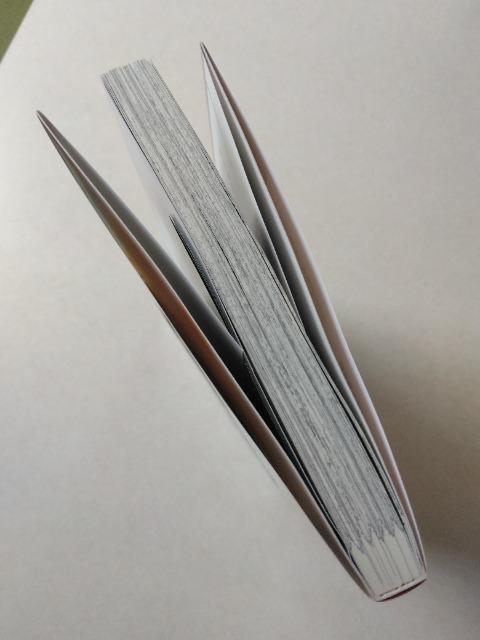 4^DȂȂGȂŁ^  Aj/R~bN/LN^[ 