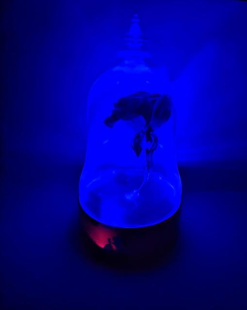 美女と野獣 魔法のバラ ランプ < インテリア/ライフ 美女と野獣 魔法のバラ ランプ < インテリア/ライフの