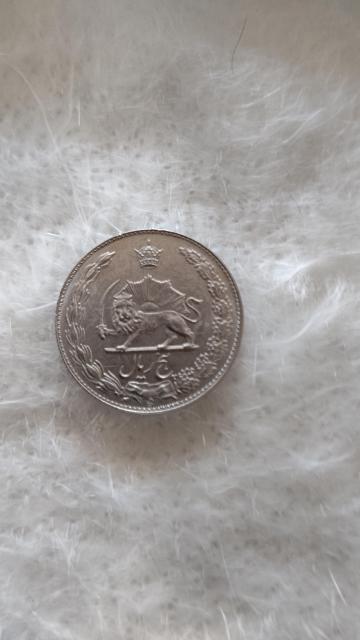 イランB < ホビー  イランB  < ホビーの