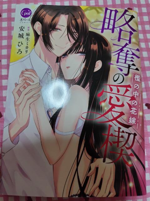 TL☆略奪の愛楔 檻の中の花嫁/安城ひろ < アニメ/コミック/キャラクター  TL☆略奪の愛楔 檻の中の花嫁/安城ひろ  < アニメ/コミック/キャラクターの