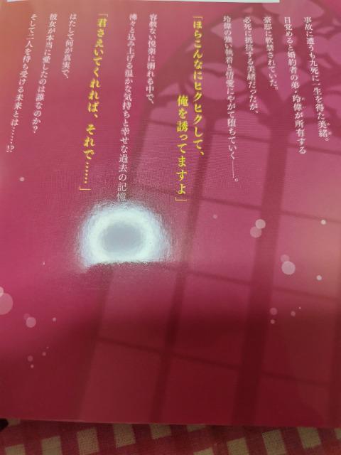 TL☆略奪の愛楔 檻の中の花嫁/安城ひろ < アニメ/コミック/キャラクター  TL☆略奪の愛楔 檻の中の花嫁/安城ひろ < アニメ/コミック/キャラクターの