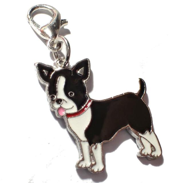 `@@Gi@ANZT[@L[z_[@`[@obO@bNTbNȂǂ  t@bV 