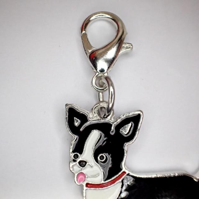 `@@Gi@ANZT[@L[z_[@`[@obO@bNTbNȂǂ  t@bV 