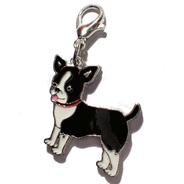 `@@Gi@ANZT[@L[z_[@`[@obO@bNTbNȂǂ  t@bV 