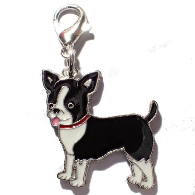 `@@Gi@ANZT[@L[z_[@`[@obO@bNTbNȂǂ  t@bV 