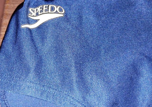 SPEEDO MSIZE BLUE@  W[/X|[c 
