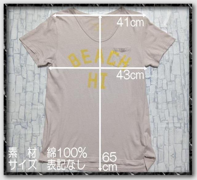 シップス プリント入りTシャツ 薄茶 < ブランド シップス プリント入りTシャツ 薄茶 < ブランドの