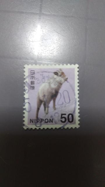 kgpςݐ؎l50~@jzJVJ@ 