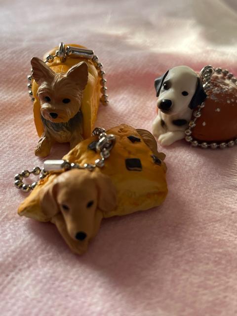 �K�`���K�`���I���ʂς�I3�Z�b�g�I�_�����V����h�[�i�c�I����[���ρ[��e���A�I�_�b�N�X�R�[���I�ł��I���g�p�I  �� �z�r�[�� 