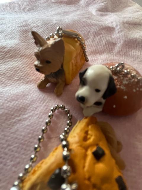 �K�`���K�`���I���ʂς�I3�Z�b�g�I�_�����V����h�[�i�c�I����[���ρ[��e���A�I�_�b�N�X�R�[���I�ł��I���g�p�I �� �z�r�[�� 